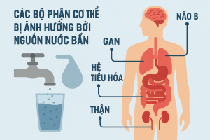 Tác hại của nước uống không rõ nguồn gốc lên các cơ quan trong cơ thể